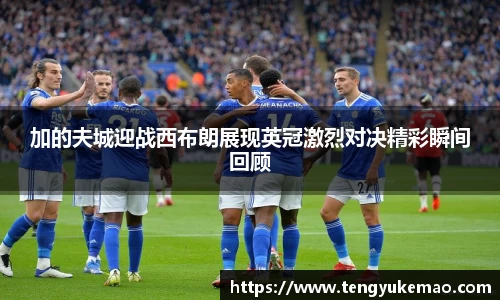 加的夫城迎战西布朗展现英冠激烈对决精彩瞬间回顾