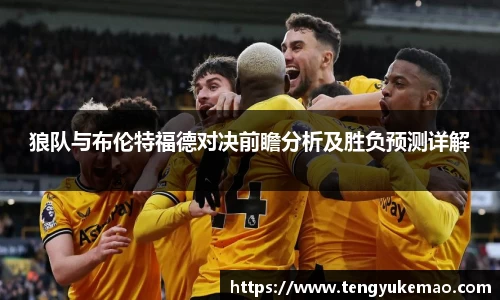 狼队与布伦特福德对决前瞻分析及胜负预测详解