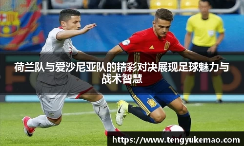 荷兰队与爱沙尼亚队的精彩对决展现足球魅力与战术智慧