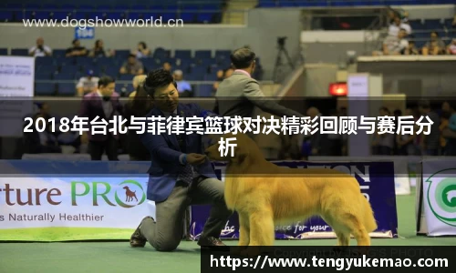 2018年台北与菲律宾篮球对决精彩回顾与赛后分析